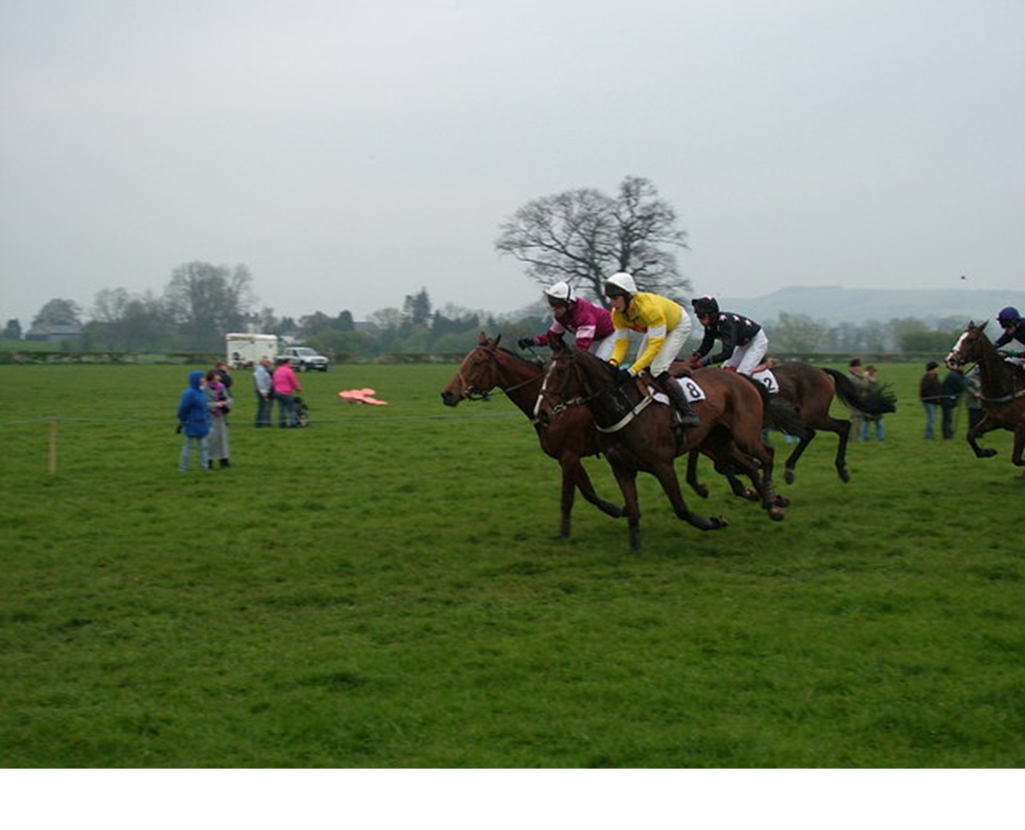 Irish point-to-points, where so many top chasers launch their careers